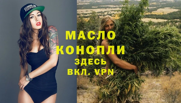сатива Горнозаводск