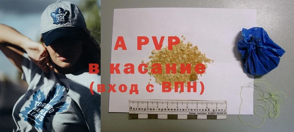 ECSTASY Горняк