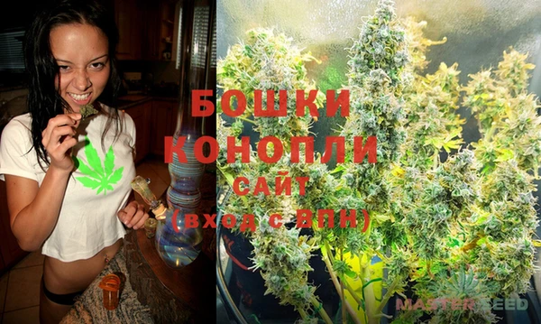 сатива Горнозаводск