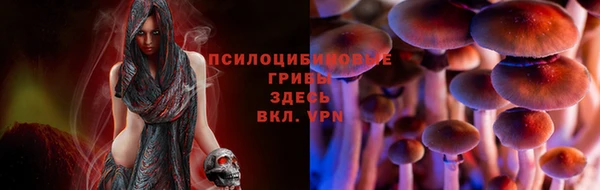 apvp Горно-Алтайск