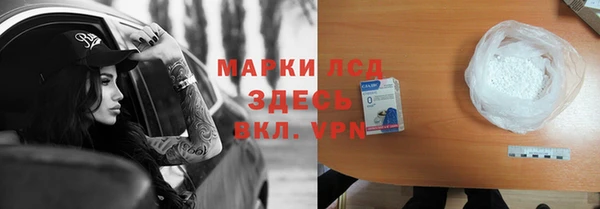 сатива Горнозаводск