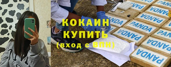 сатива Горнозаводск