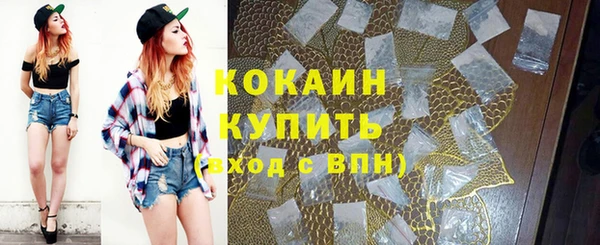 сатива Горнозаводск
