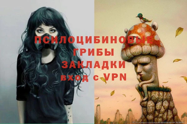 ECSTASY Горняк