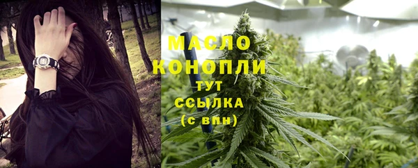 ECSTASY Горняк