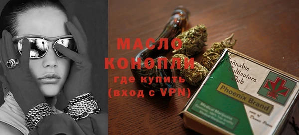 ECSTASY Горняк