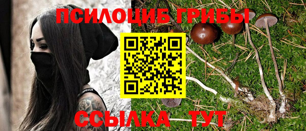 Галлюциногенные грибы MAGIC MUSHROOMS  Мценск 