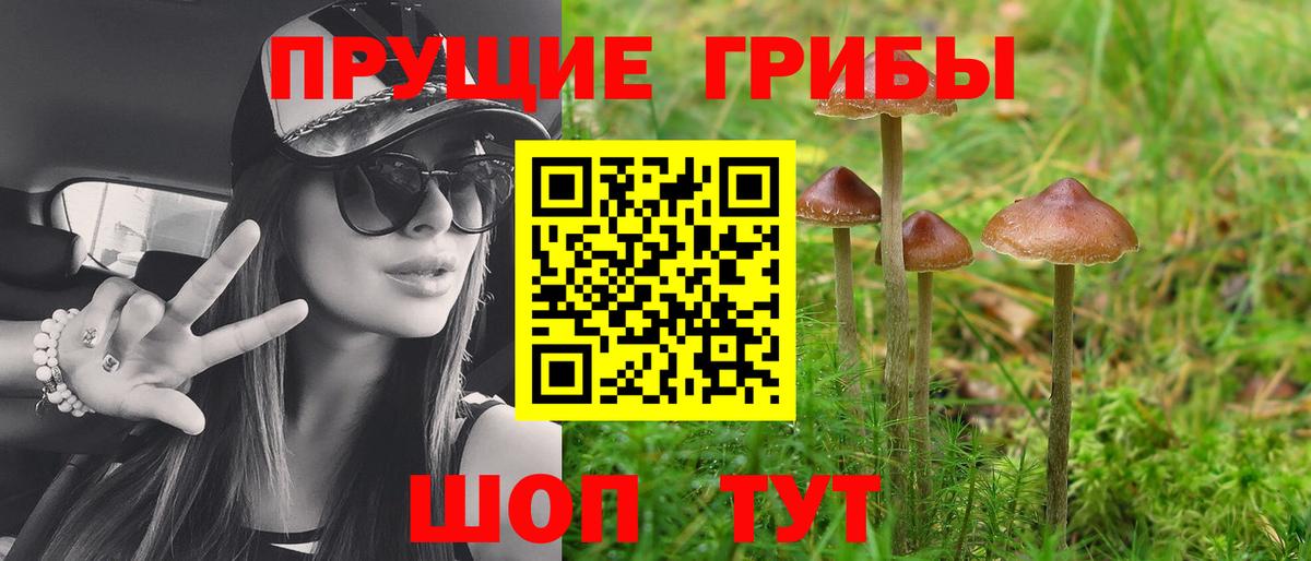 Псилоцибиновые грибы мицелий Мценск