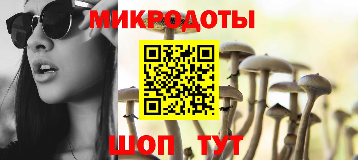 Псилоцибиновые грибы мицелий Мценск