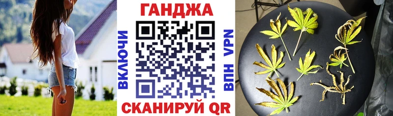 кракен маркетплейс  Мценск  сайты даркнета наркотические препараты  Каннабис сатива 